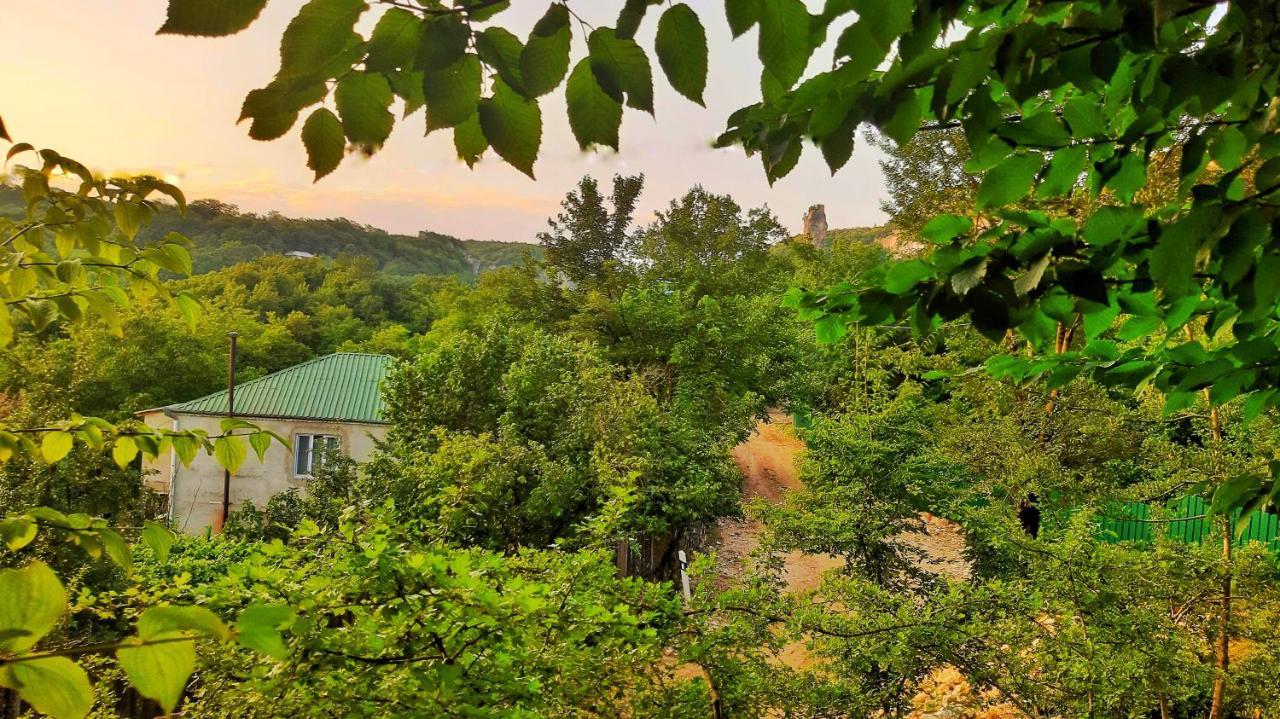 Vaso'S Guesthouse Katskhi Εξωτερικό φωτογραφία