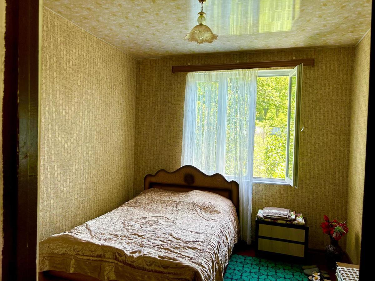 Vaso'S Guesthouse Katskhi Εξωτερικό φωτογραφία